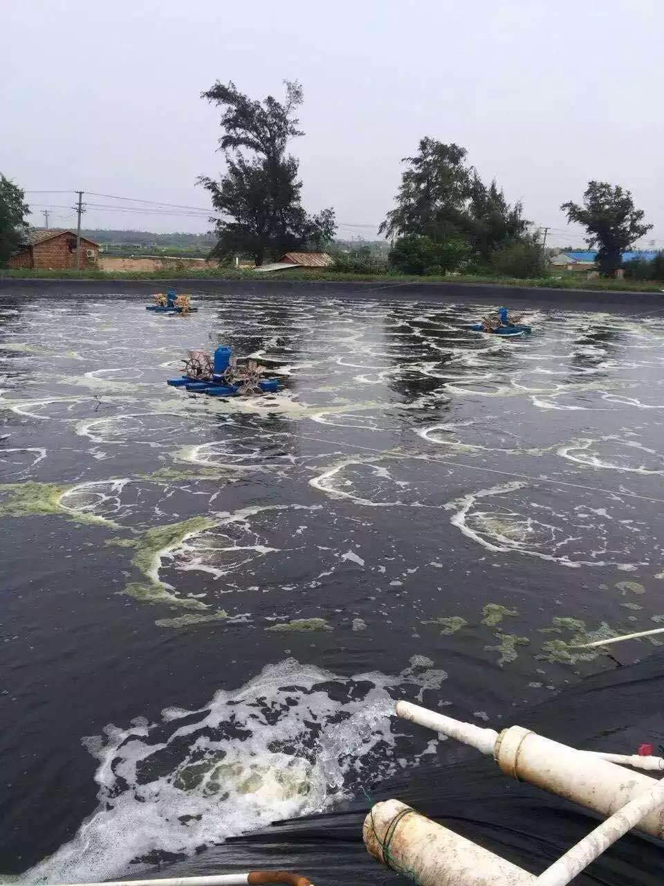 養殖羅茨風機